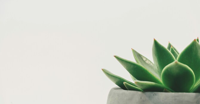 Worksheet - Emotional Wellbeing Check-In
