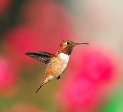 Personal Growth & Life Transitions
